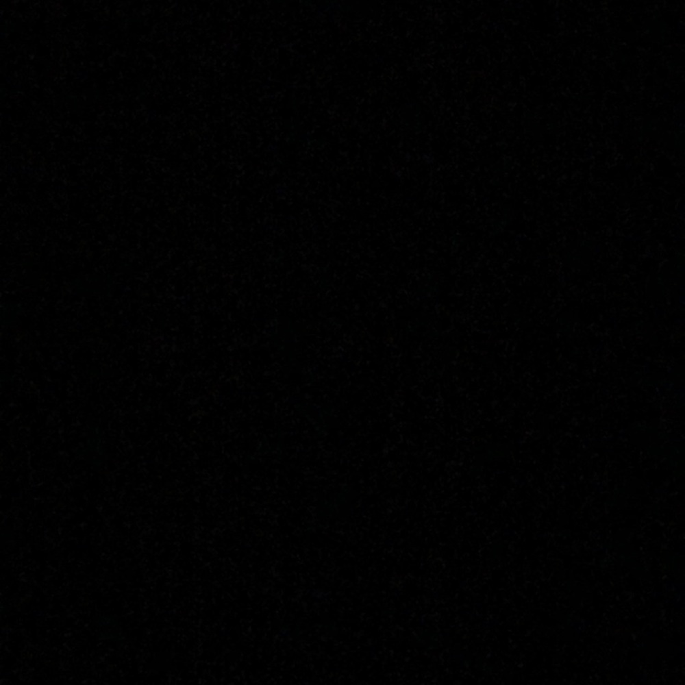 Meet your Posher, Evelyn